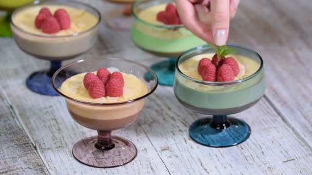 Chocolate mousse with raspberry and mint in portion glasses - Footage, Video