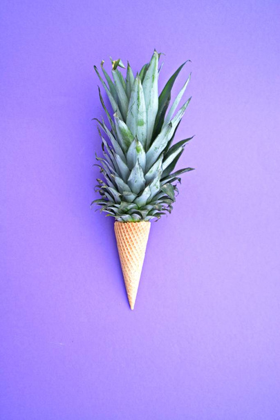 A szár egy ananász egy fagylaltot kúp ellen monokróm háttér jelképe ananász fagylalt, mint egy gyümölcsös felüdülést nyáron - Fotó, kép