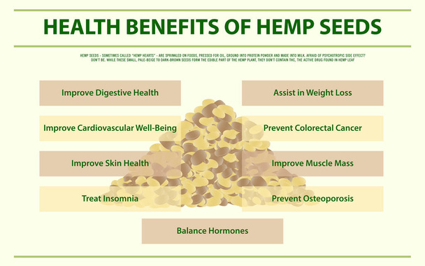 Health Benefits of Hemp Seedshorizontal infographic - Vector, Image