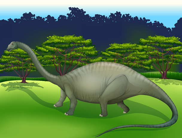 Diplodocus - Vektor, Bild