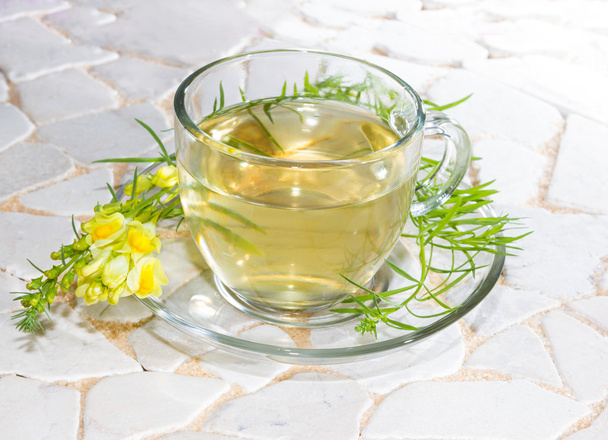 Cup of yellopw toadflax infusion - Photo, Image