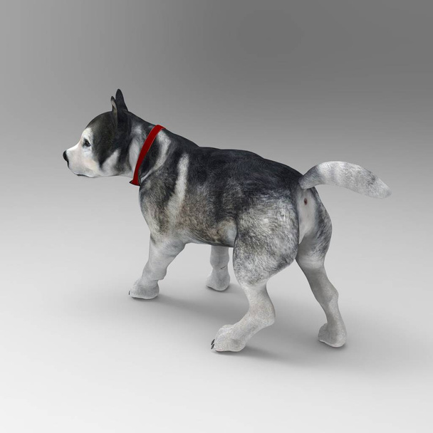 3D-Rendering von Hund erstellt mit einem Mixer-Tool - Foto, Bild