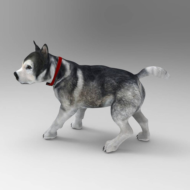 3D απόδοση σκύλου που δημιουργήθηκε με τη χρήση ενός εργαλείου μπλέντερ - Φωτογραφία, εικόνα