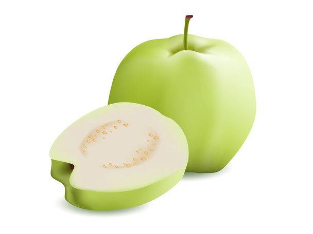 Guava - Vector, Image