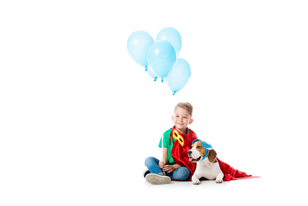 smiling preschooler child and beagle dog in red hero cloaks with blue party balloons on white - Photo, Image