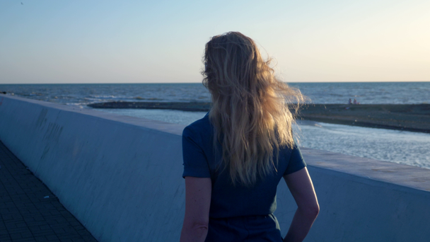 back view. Beautiful woman blonde with long hair walking alone along the promenade. hair develops by wind. copy space - Footage, Video