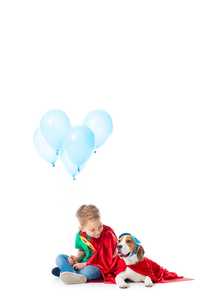 preschooler child and beagle dog in red hero cloaks with blue party balloons on white - Φωτογραφία, εικόνα