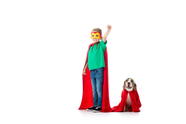 pohled z celé délky na předškolní dítě s pěstí a s Beagle psem v maskách a rudých hrdinkách izolovaných na bílém - Fotografie, Obrázek