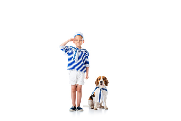 полный вид дошкольного ребенка в матросском костюме салютующего с улыбкой и собакой-биглом на белом
 - Фото, изображение