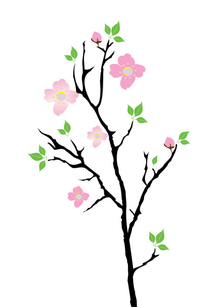 Cherry Blossom - Vector, Imagen