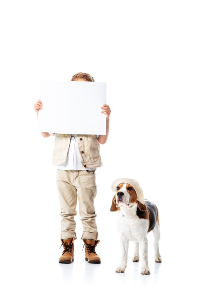 full length view of explorer kid holding placard and beagle dog in hat on white - Foto, Imagem
