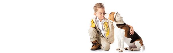 panoramic shot of explorer boy embracing beagle dog on white - 写真・画像