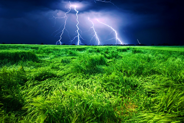 buğday alan üzerinde fırtına - Fotoğraf, Görsel