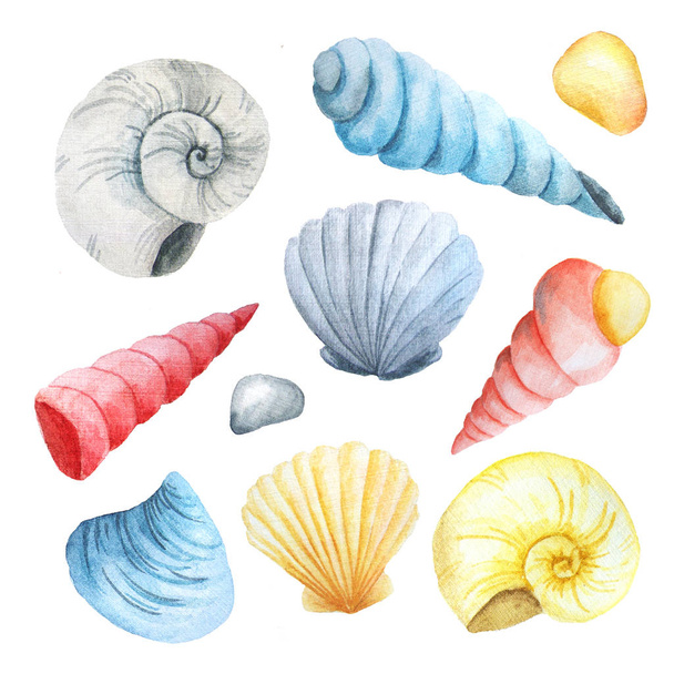 Watercolor set of seashells and stones - Foto, afbeelding