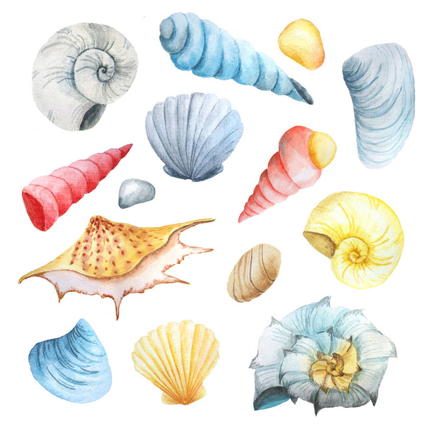 Watercolor set of seashells and stones - Fotó, kép