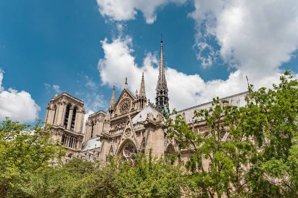 Notre Dame de Paris Katedrali, Paris Fransa 'da en güzel katedral - Fotoğraf, Görsel
