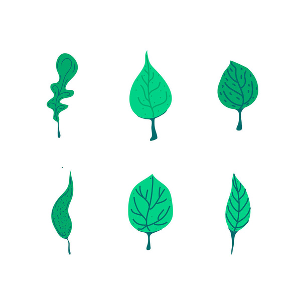 Vector design elements set green leaf collection, hand drawn illustration illustration - Vector, Imagen