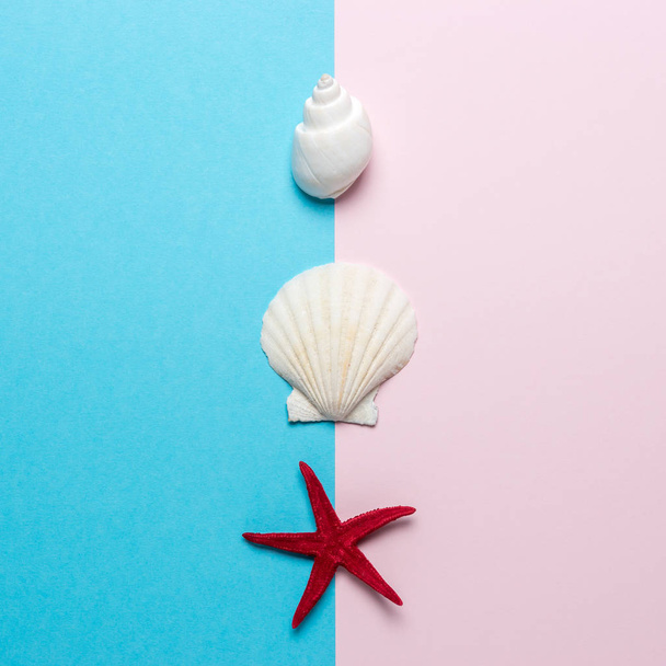 Creative composition with seashells and red starfish on bright background. Summer minimal concept. - Foto, Bild