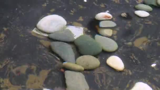 piedras de guijarro como se ve a través de la superficie del agua oscilante
 - Metraje, vídeo