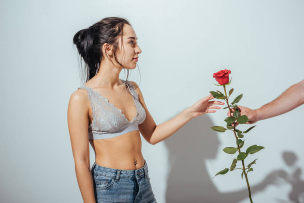cropped view of man presenting red rose to beautiful girl in underwear and jean - Φωτογραφία, εικόνα