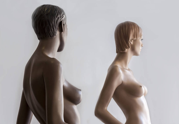 Naked elegant female mannequins in the shop window - Φωτογραφία, εικόνα