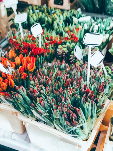 Belles fleurs de tulipes sur le marché
 - Photo, image