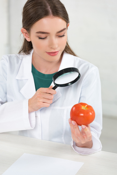 dietitian in white coat looking at tomato through magnifying glass - Φωτογραφία, εικόνα