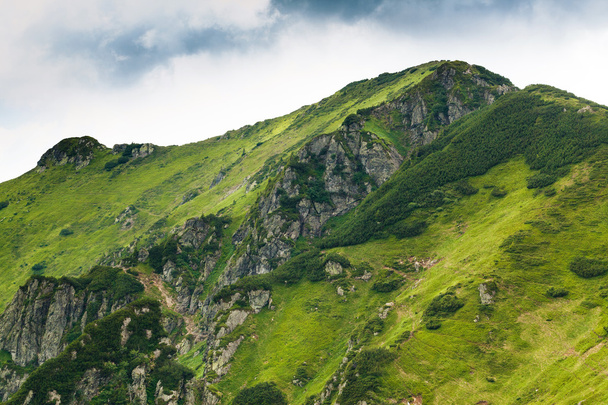 Karpatské hory - Fotografie, Obrázek