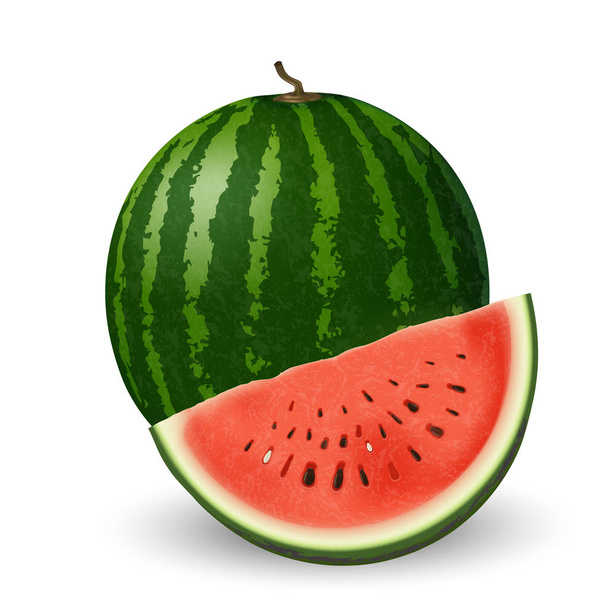 realistische Wassermelone und Scheibe auf weißem Hintergrund - Vektor, Bild