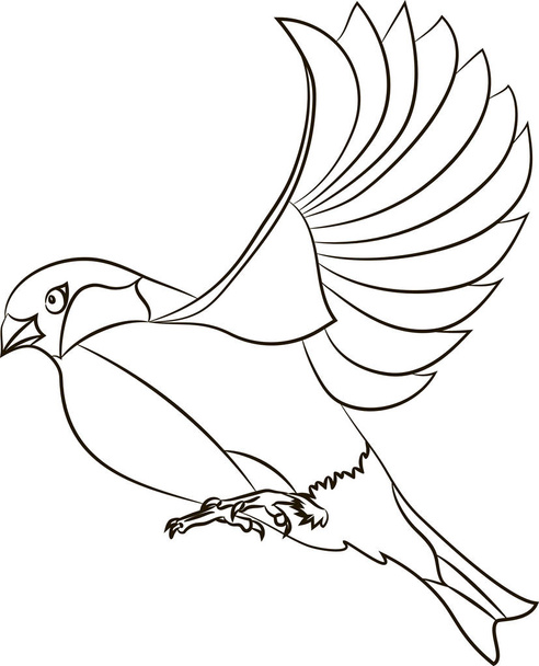Flying bullfinch  - Vector, Image