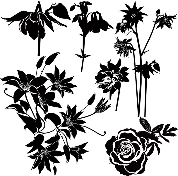 kwiaty powojniki, róże, delikatny - Wektor, obraz