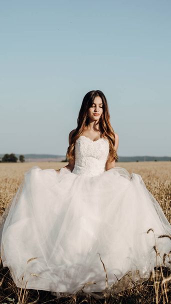 日没の小麦畑の美しい花嫁 - 写真・画像