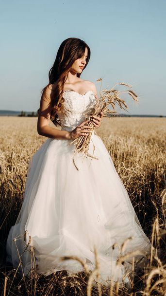 Beautiful bride in wheat field on sunset - Zdjęcie, obraz