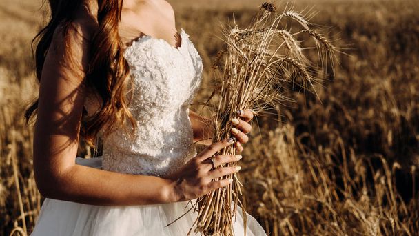 Beautiful bride in wheat field on sunset - Foto, afbeelding
