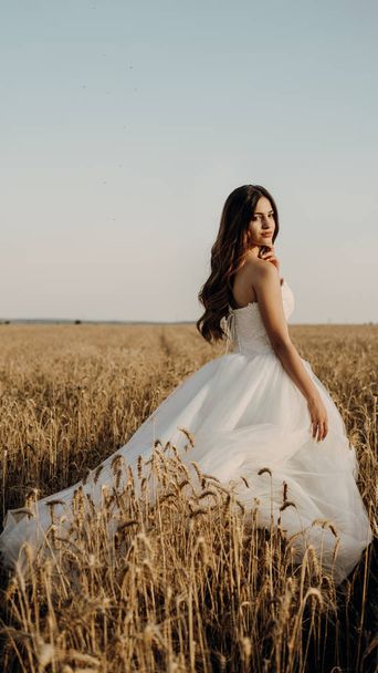 Beautiful bride in wheat field on sunset - Photo, image