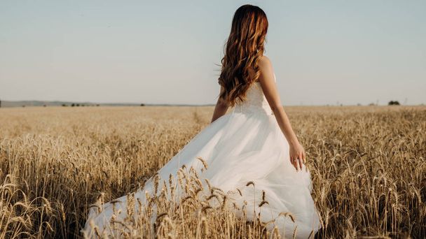 Beautiful bride in wheat field on sunset - Photo, Image