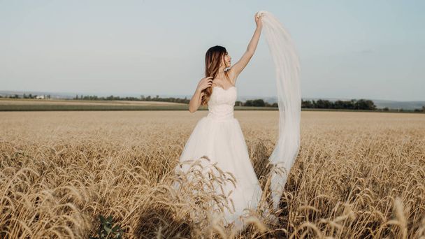 Beautiful bride in wheat field on sunset - Foto, Imagem
