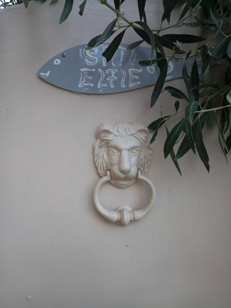 Nahaufnahme eines dekorativen Löwenkopfformigen Klopfers an einer hellblauen Tür - Foto, Bild