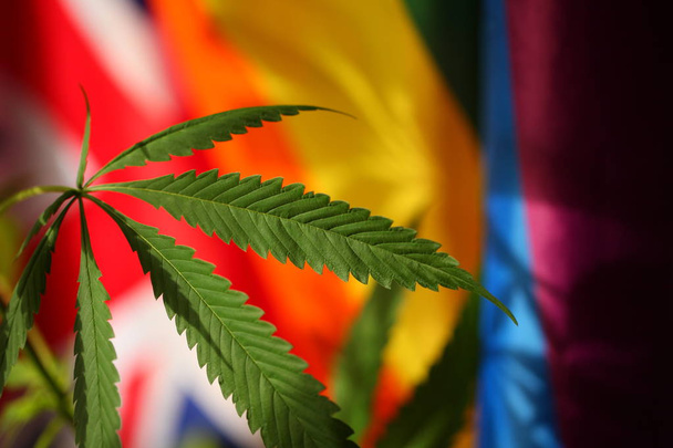yasal marihuana kavramı. Tıbbi esrar bayrağı arka plan - Fotoğraf, Görsel