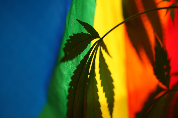 legal marijuana concept. Medical cannabis flag background - Foto, immagini