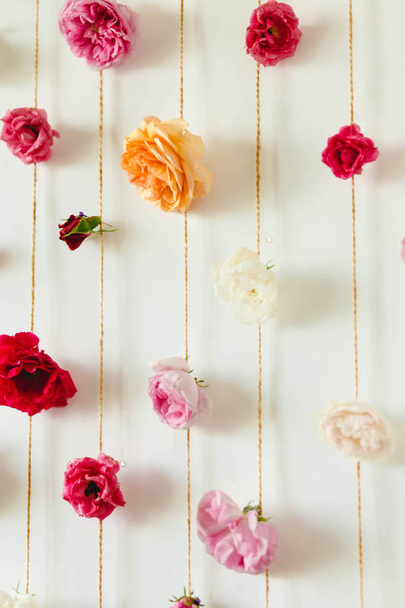 Textura floral primaveral de brotes de rosa en pared blanca
 - Foto, imagen
