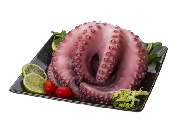 Large boiled octopus - Photo, Image