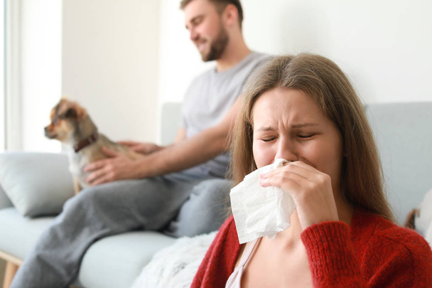 自宅でペットアレルギーに苦しむ女性 - 写真・画像