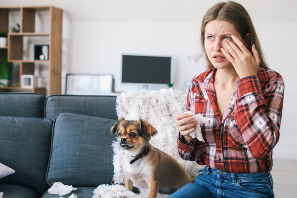 Woman suffering from pet allergy at home - Valokuva, kuva