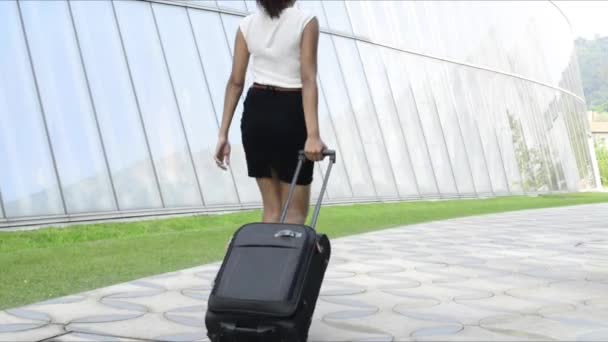 Giovane donna d'affari che cammina con bagagli
. - Filmati, video