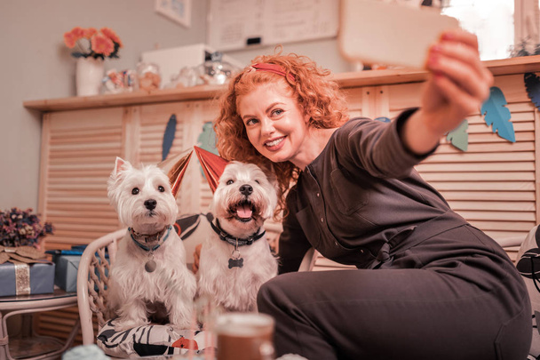 Woman smiling while making photo with birthday dogs - Foto, immagini