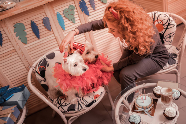 Curly woman with brassy hair decorating her cute dogs - Foto, immagini