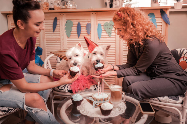 Smiling women giving cupcakes for their birthday dogs - Foto, Bild