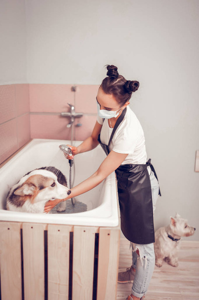 Темноволосый работник парикмахерской, стиральная собака в ванной
  - Фото, изображение