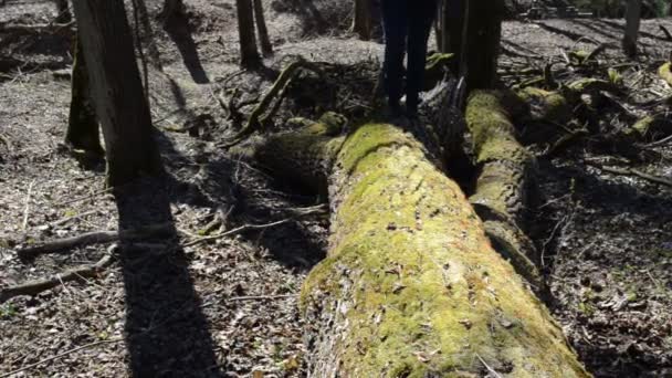 Lány séta fa trunk moha - Felvétel, videó